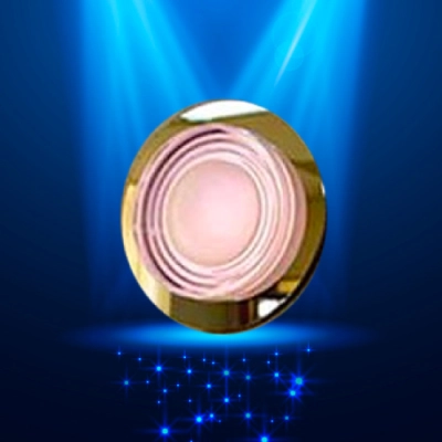 型號 (Model): P-CPI-11 B